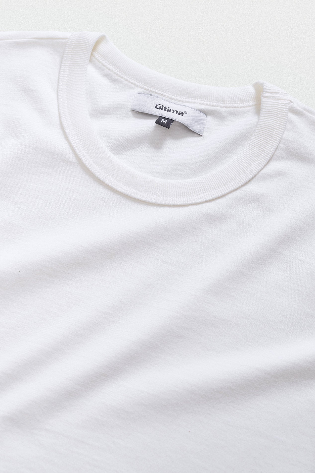 Camiseta Regular
